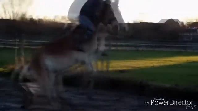 Не прикольно когда очень больно👎 смотреть онлайн