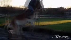 Не прикольно когда очень больно👎