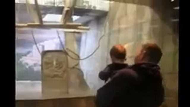 Прикольное видео с детьми и животными Зоопарк смотреть онлайн