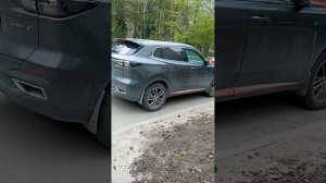 Крупные собаки без намордников, зато хозяин с приличной бородой гуляет возле школы и около детей