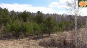 Весна