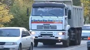 СОБАКИ ЛАЮТ НА МАШИНЫ