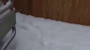 Dancotransport. 8 серия  Дальнобой по дорогам США  Зима 2014