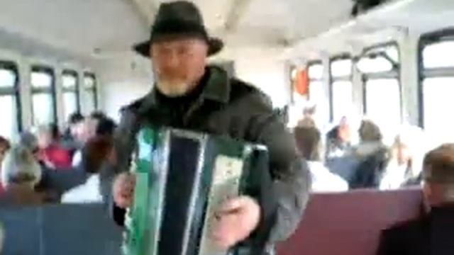 черная моль.flv смотреть онлайн