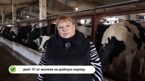 С каждым годом удои больше!