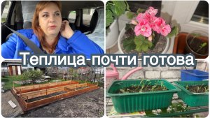Схватило спину. Надеюсь все уладится. Что с рассадой?