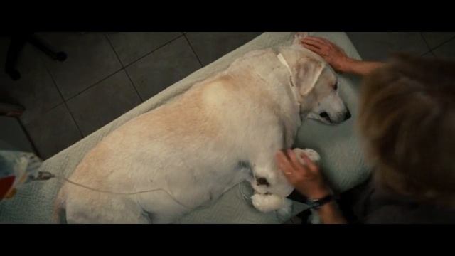 Самый грустный момент фильма Марли и я