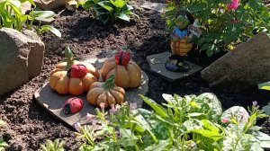 30-04-2025 Шок шоковый🥺.