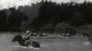 Проект полиции Кубани Подвиги в именах улиц. Улица Костылева