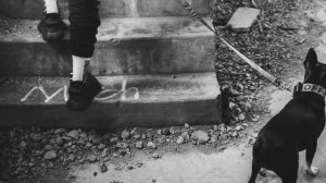 Бесплатный андеграунд минус | FreeBeat | Underground Beat  | Rap 2021 | Rap Instrumental