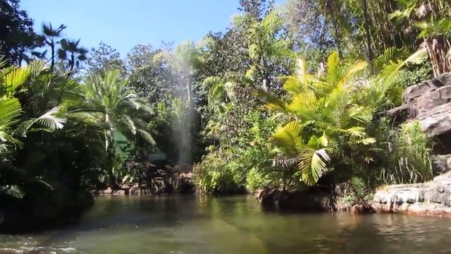 Атракцион для детей Парк юрского периуда Динозавры Jurassic Park  Dinosaurs