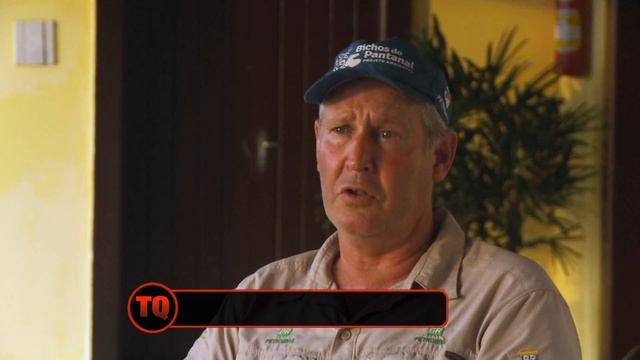 Travel Quest - The Pantanal смотреть онлайн