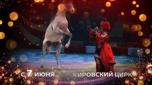 «Балаган» в Кировском цирке
