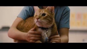 Одноглазый Кот Фред ✶ Одарённая (2017)