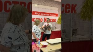 2 апреля 2025 г.