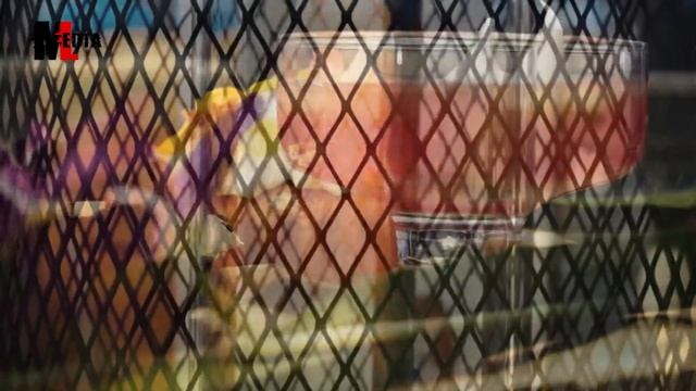 выставка Отельный бизнесс смотреть онлайн