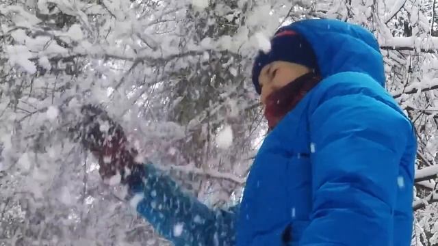 Зимние медведи смотреть онлайн