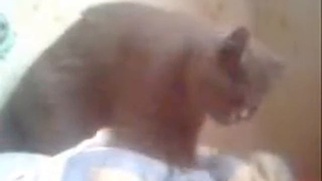 Мне хорошо рядом с тобой.... смотреть онлайн