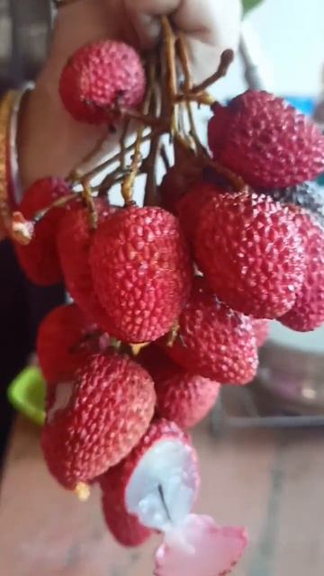 Lichi ❤️❤️#fruit #fruits #seasonalfruit ##healthy #healthyfruits #trending #shorts#youtubeshorts
