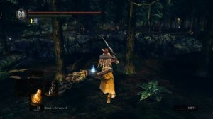 Прохождение Dark Souls: Remastered [16] - Dlc Босс Арториас