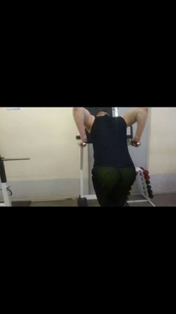Отжимания на брусьях TrainingFactory00