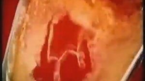 Реклама (ГТРК-Чувашия, 2005)