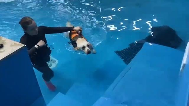 25 декабря 2023 г. смотреть онлайн