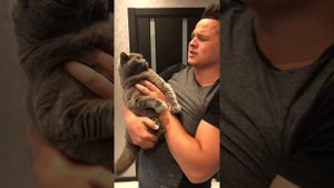 Британка из тик тока . Микс