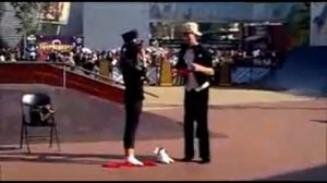 Уличная магия - уличные фокусы, выступление фокусника в Китайском парке.