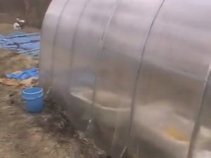 Архив: как мы ставили вторую теплицу и осваивали свой уасток.