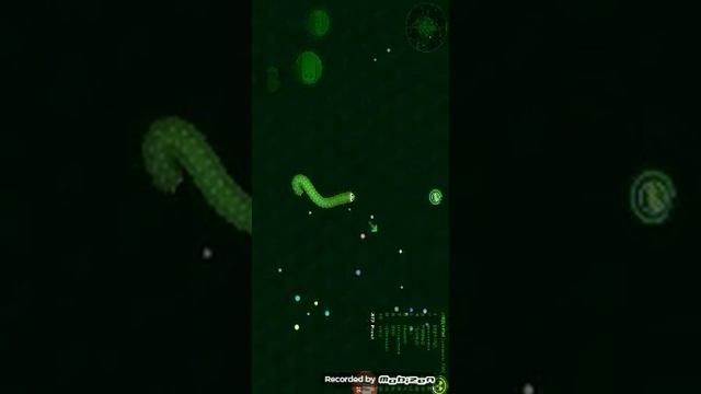 Играю в игру Wormix.io смотреть онлайн