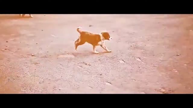 4atty aka Tilla (Мосты) - Осень [Rap-Info.Com] смотреть онлайн