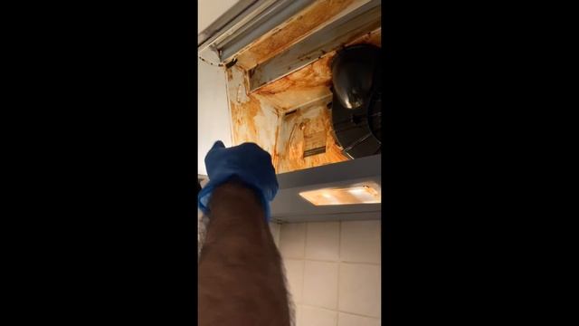 AMWAY OVEN CLEANER MAGICALLY REMOVES GREASE IN THE KITCHEN!!! смотреть онлайн