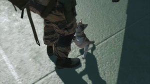 Как получить D-Dog в Metal Gear Solid 5 The Phantom Pain - How to get D-Dog in MGS5TPP