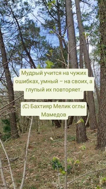 Мудрый учится на чужих ошибках 🤗🌺🌿