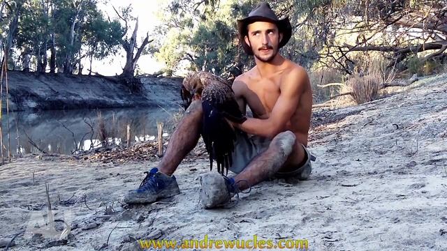 Releasing a Hawk Back Into Nature смотреть онлайн