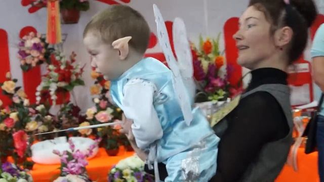 Международная выставка кошек WCF 28-29 марта 2015 Ессентуки