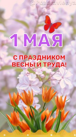 С 1 мая!