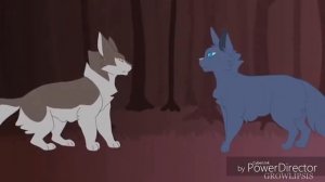 Коты воители. Белогривка. Fight Song