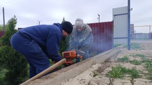 ЗАЛИВАЕМ СТОЛБЫ/ЭТО ТОГО СТОИЛО,ДОЖДЬ НЕ ОСТАНОВИЛ/ПОБЕДА/ВОТ ТАК ПОЛЕ ЧЕСНОКА/ХОРОШО В ДЕРЕВНЕ