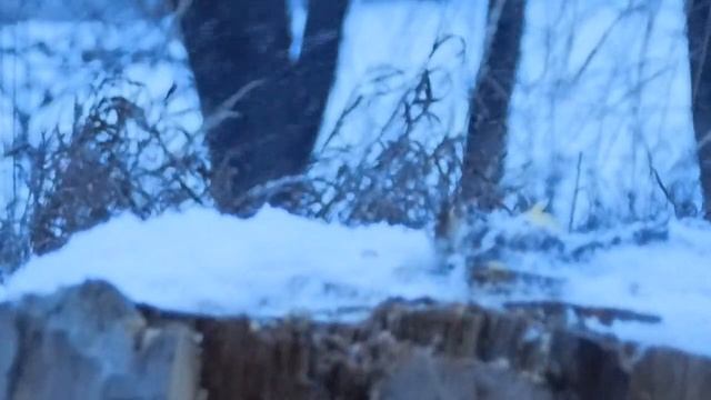 Ютуб лучшие приколы. 2 Часть.  Лимон и лунатики. Все серии подряд. Lemon & Company смотреть онлайн