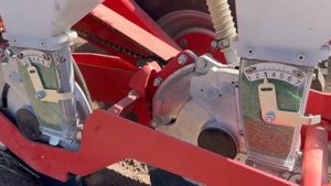 Посев моркови Каскад F1 BEJO в гребни