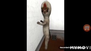 Звук -SCP 173