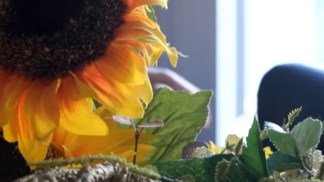 Фотосессия для Подснежника смотреть онлайн