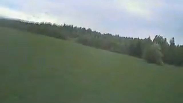 В дерево смотреть онлайн