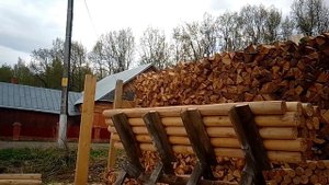 Привез отборный карандашик. Буду сушить.