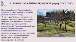 Как не испортить то, что уже прекрасно: разбор сада Елены Фёдоровой