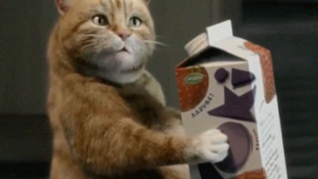 Отличного настроения позитивчик смотреть онлайн