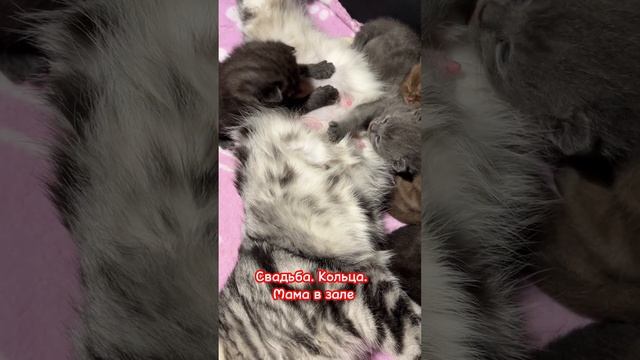 14 мая 2023 г. смотреть онлайн