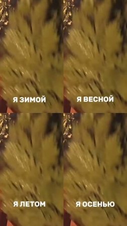 Я в любое время года 😎